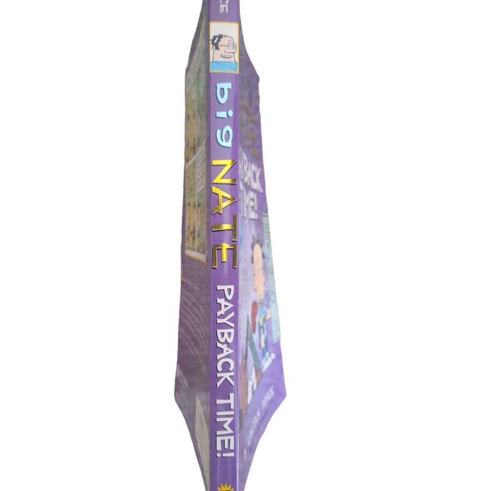 Big Nate Playback Time Book